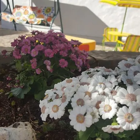 Trullo Amicizia Hébergement de vacances Alberobello