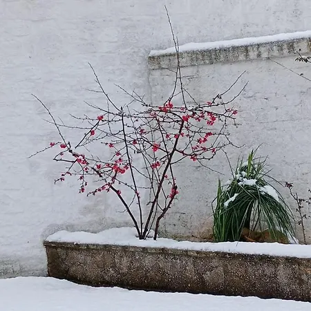 Trullo Amicizia * Alberobello