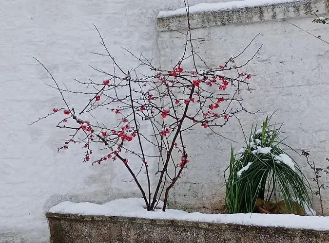 Trullo Amicizia * Alberobello