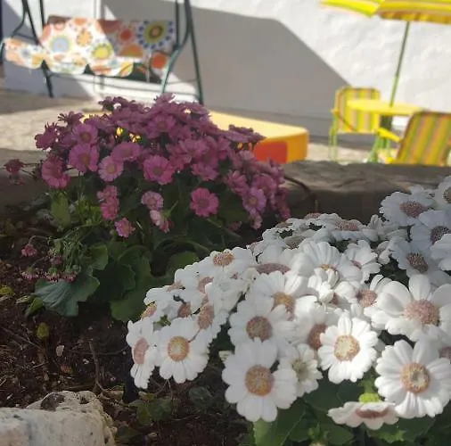 Trullo Amicizia Дом отдыха Альберобелло